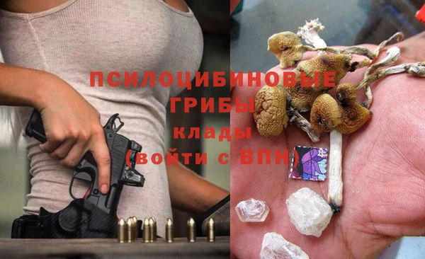 крисы Навашино