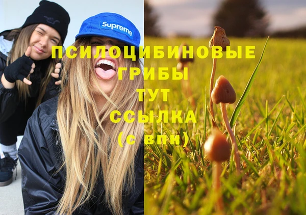 прущий лед Наволоки