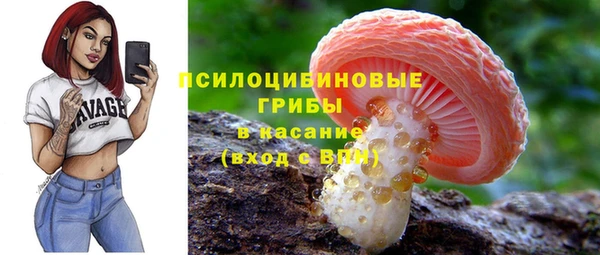 mix Надым